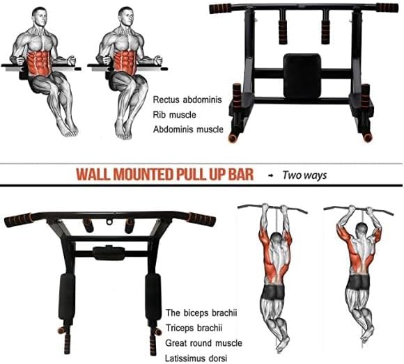Wall Mount Pull Up Dip Station