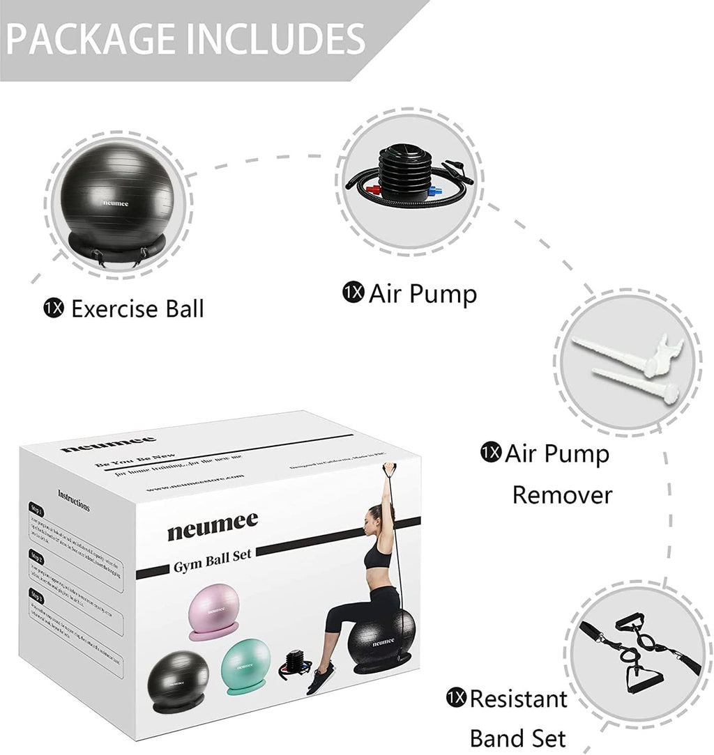 65cm Yoga Ball Chair Set