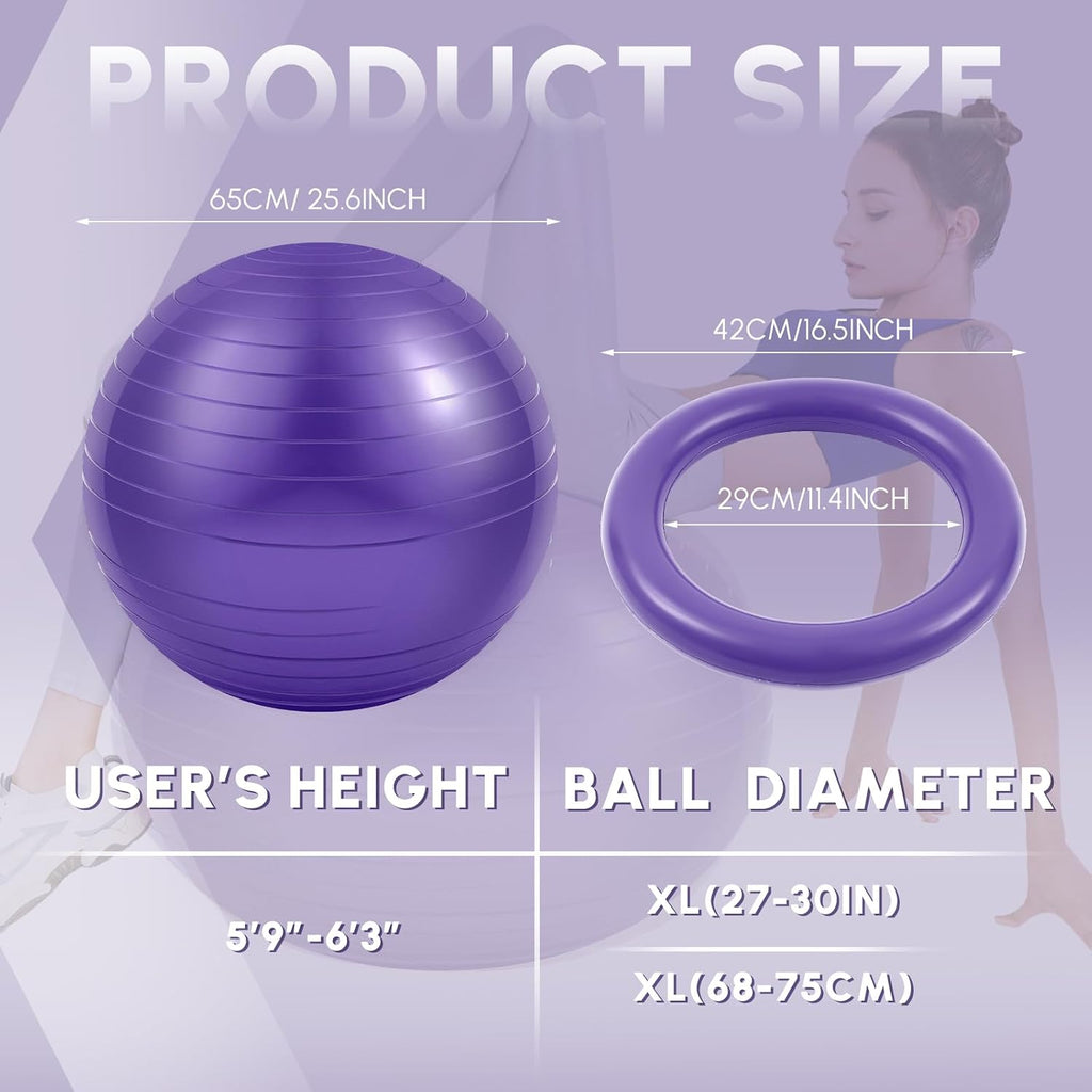 65cm Yoga Ball Chair Set