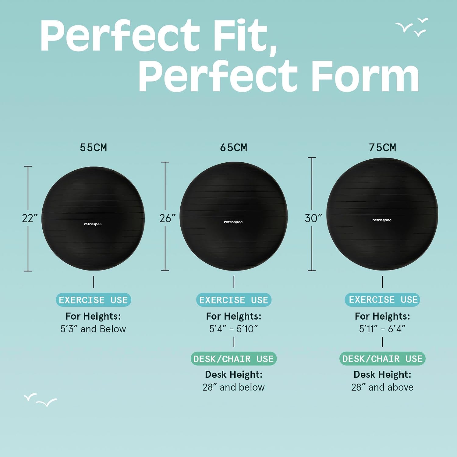 Anti-Burst Exercise Ball with Pump